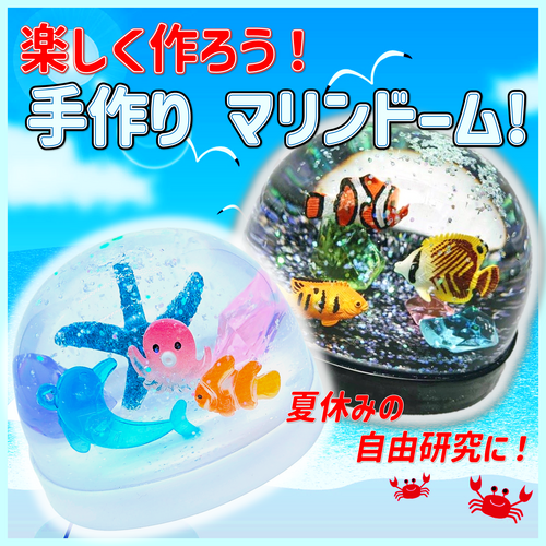 楽しく作ろう♪　手作りマリンドーム！