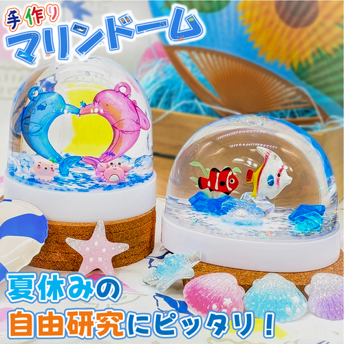 夏休みの自由研究にピッタリ!!　楽しく作ろう♪ 手作りマリンドーム！