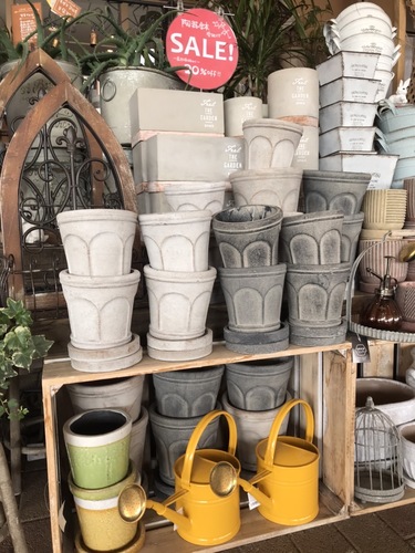 陶器鉢セール