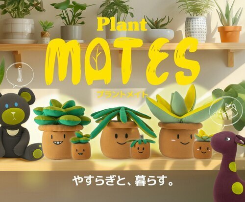 新商品　Plantシリーズ