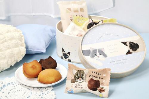 ねこサマーBOX