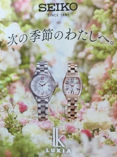 セイコールキア