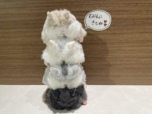 新作登場！はむにぎり🐹💖