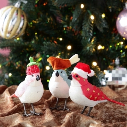 ⋆˳༚ *✨Xmasシーズン限定✨ *˳༚ ⋆ 気分を盛り上げるミュージックバード🐤🛷