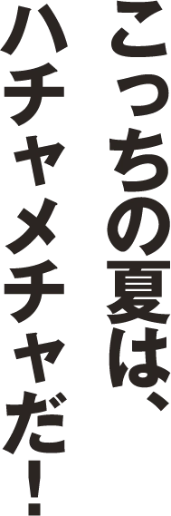 夏のWoW